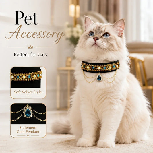 How to Choose a Stylish Velvet Choker for Cats and Small Dogs