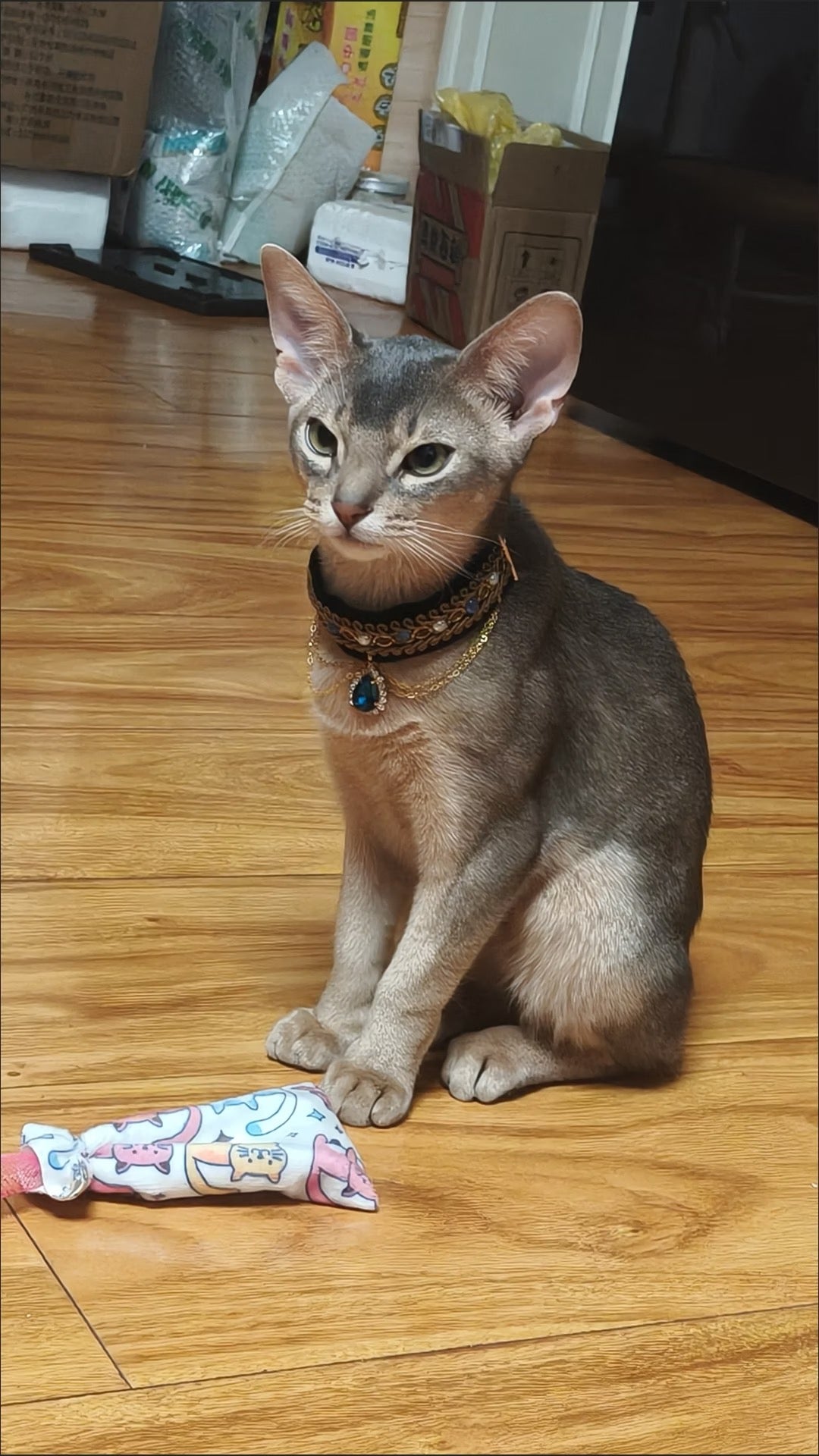 Pet accessory with a blue heart detail