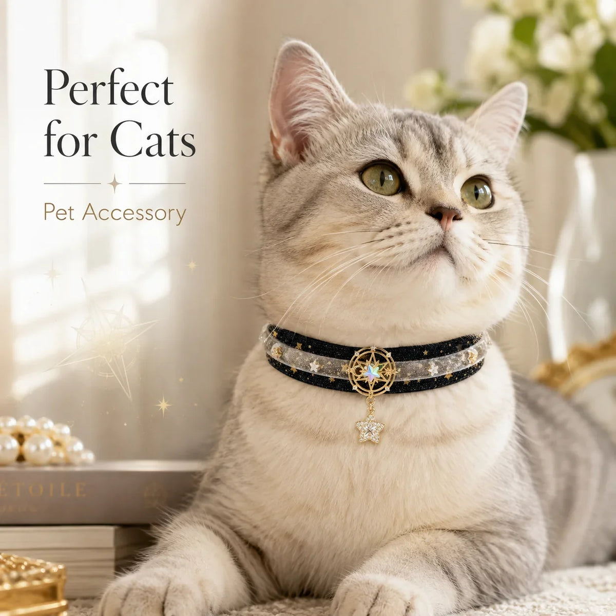 Black Star Velvet Pet Choker